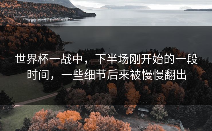 世界杯一战中，下半场刚开始的一段时间，一些细节后来被慢慢翻出